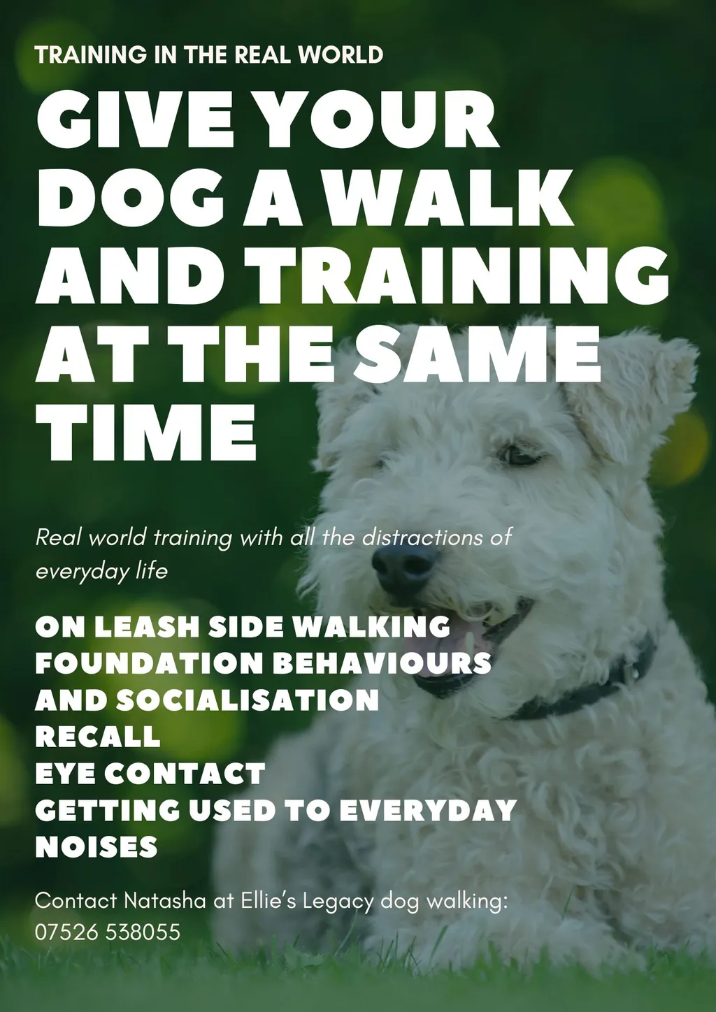 Training walks now available !!! image 1