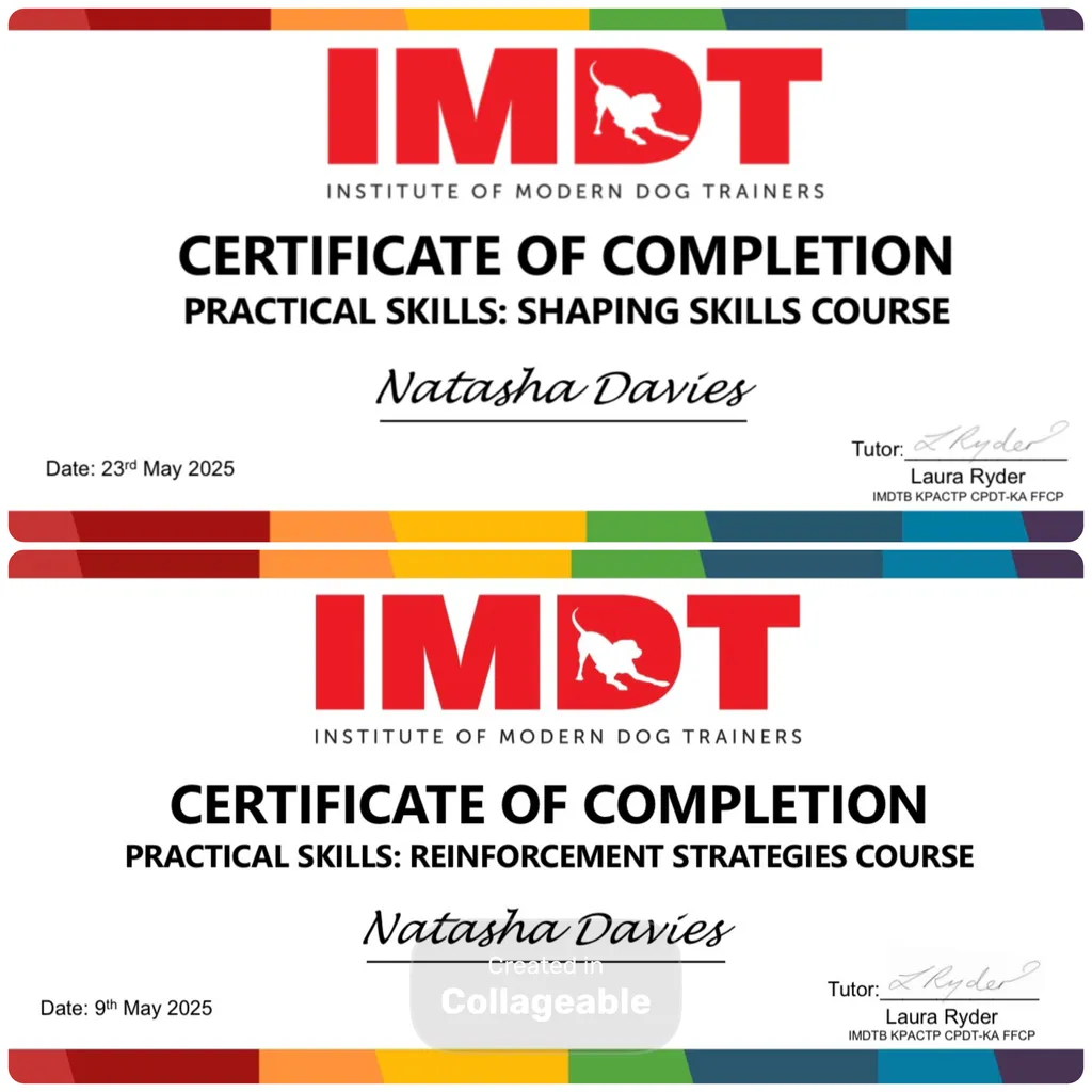 Training walks now available !!! image 4